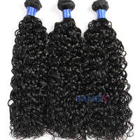 Brazilian Virgin Hair 3 Bundles With Closure Water Wave - Bangsontarget