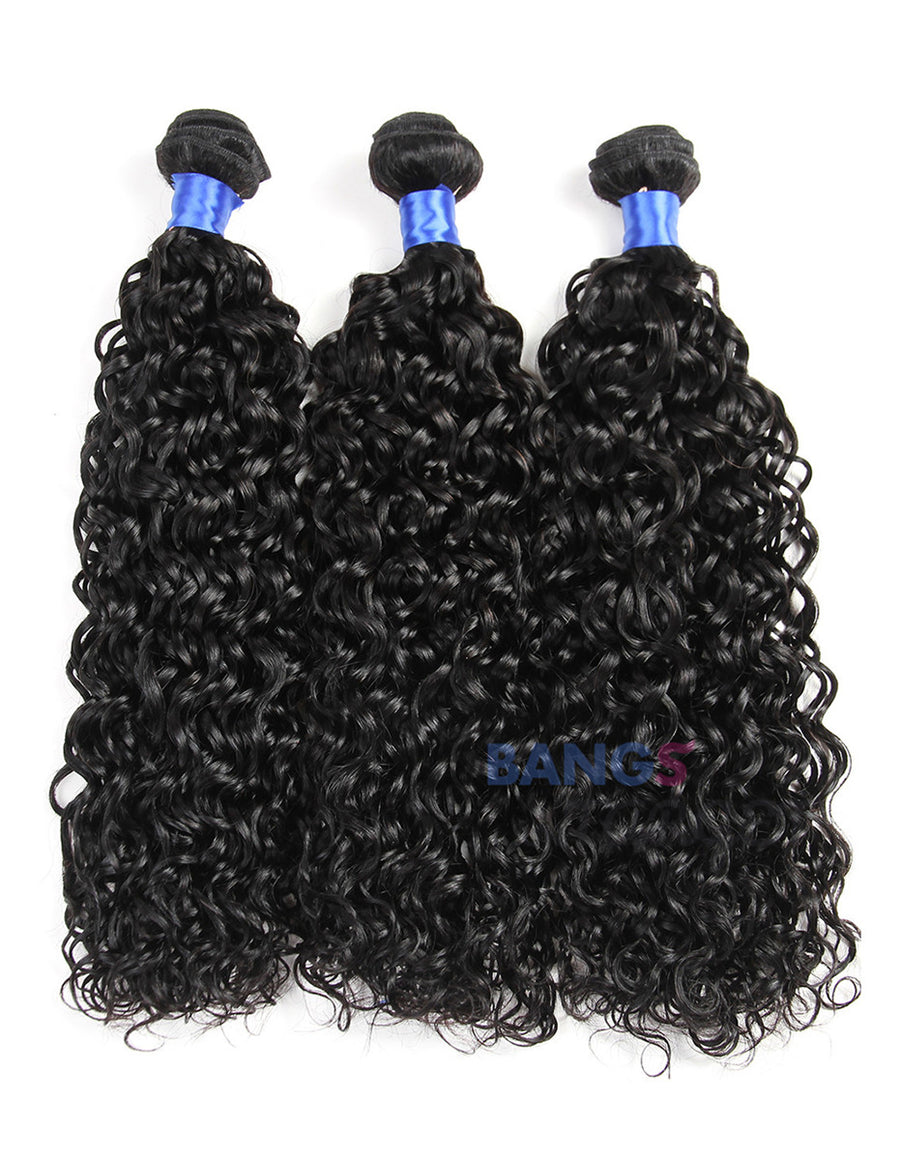 Brazilian Virgin Hair 3 Bundles With Closure Water Wave - Bangsontarget